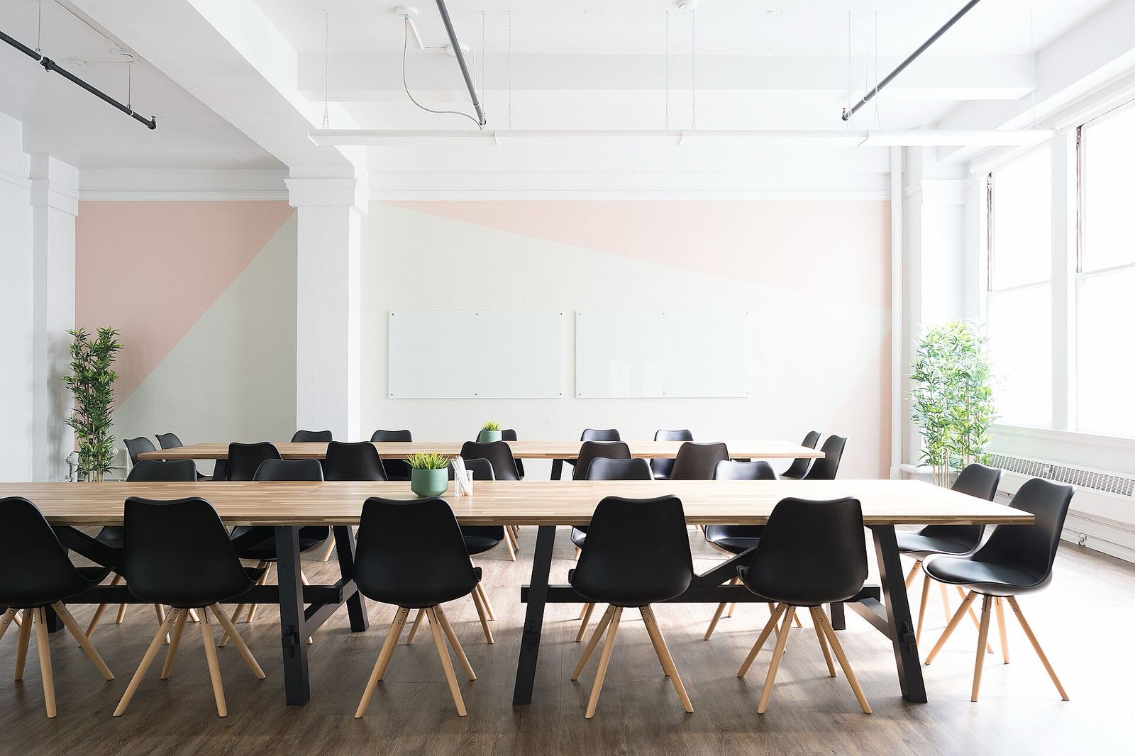 Bright, empty meeting room with long wooden tables, black chairs, tall windows and potted plants